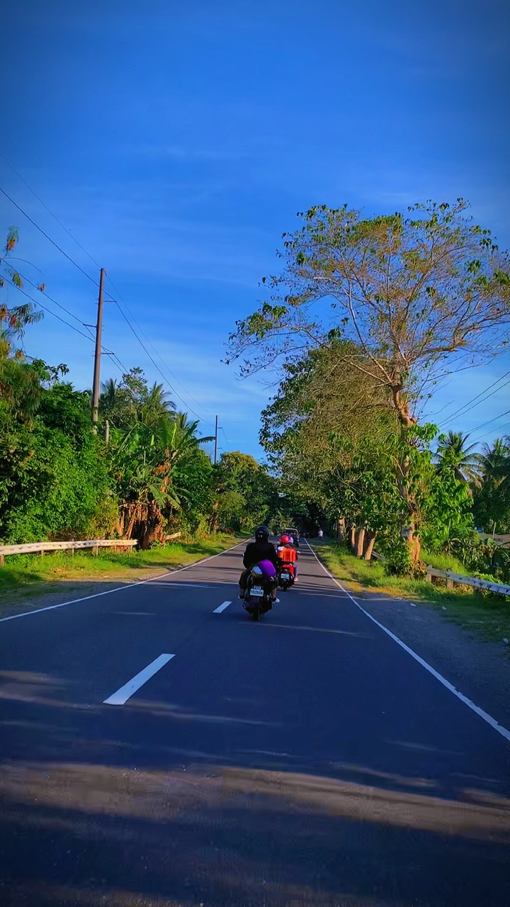 Modèle de manèges