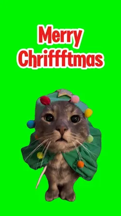 Merry Chrysler Cats