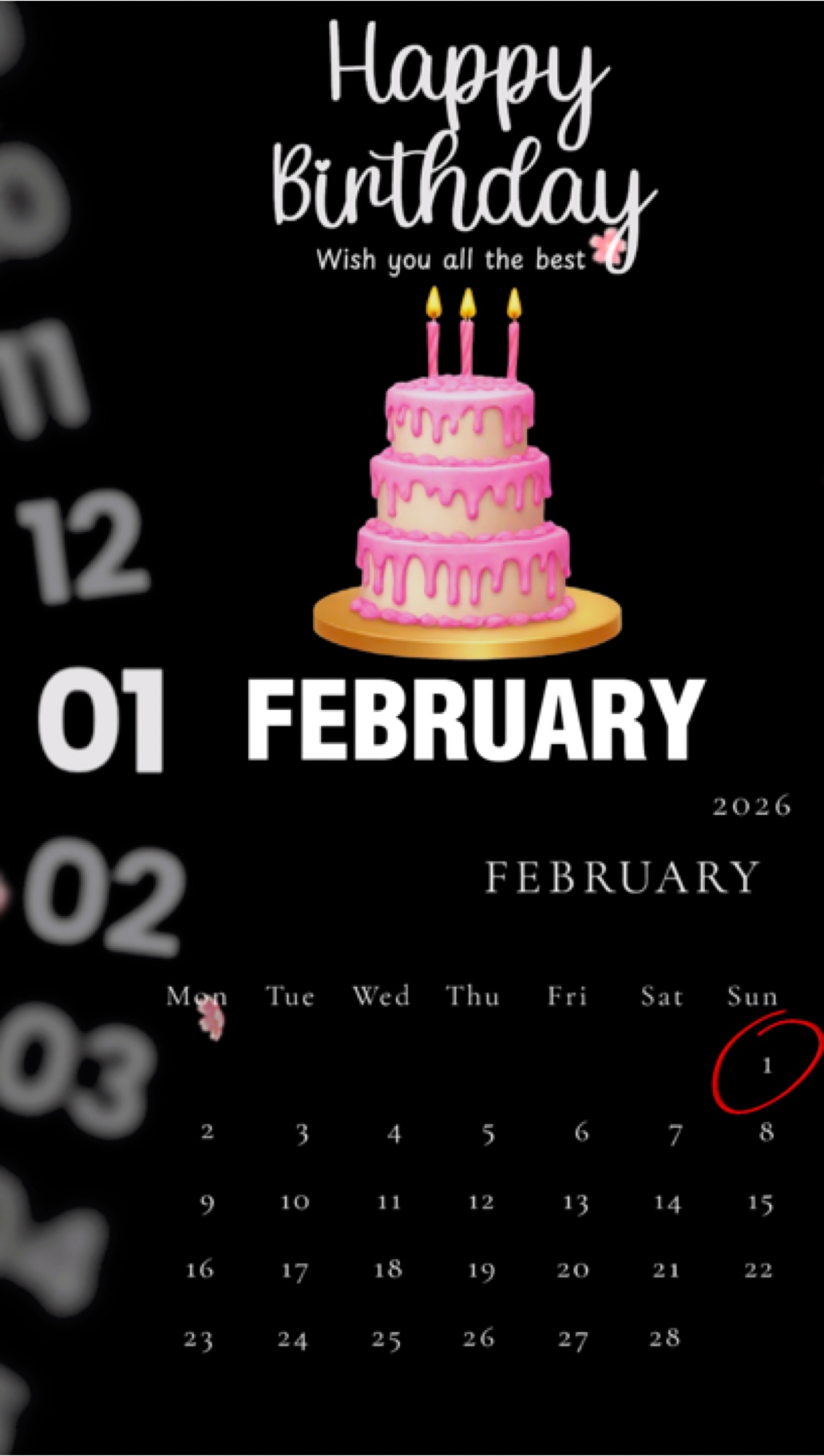 Cover Picture