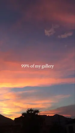 99% of my gallery
