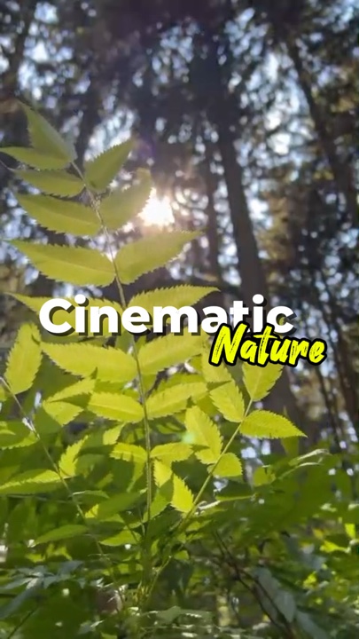 Naturaleza cinematográfica 