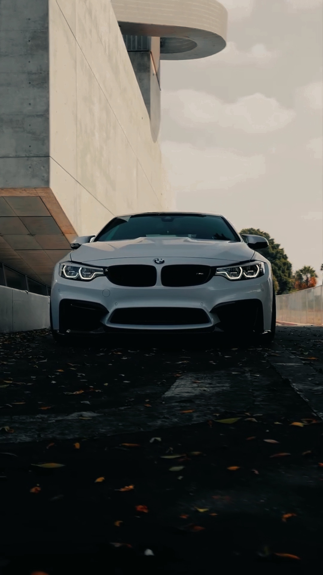 BMW | CAR💀