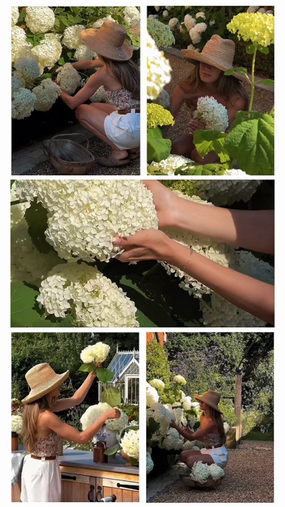 Jardinería