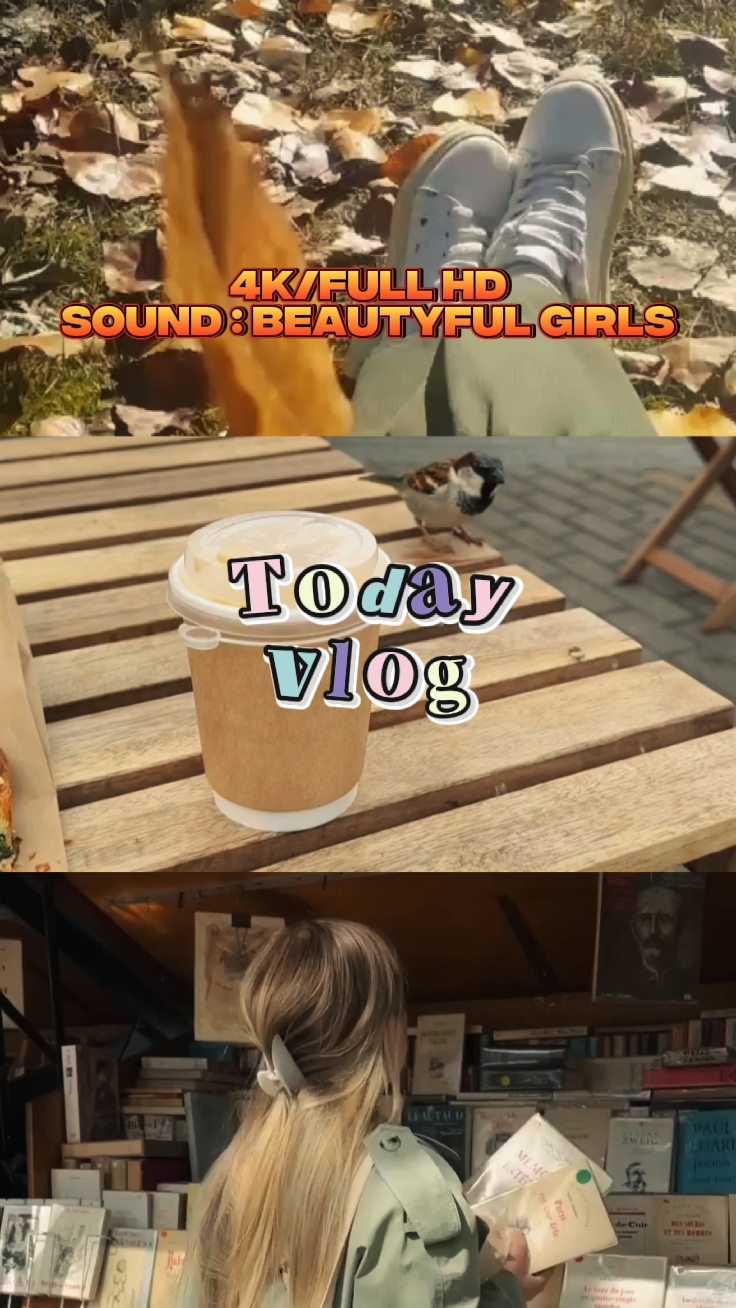 Vlog 