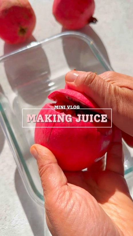 Mini jus de vlog