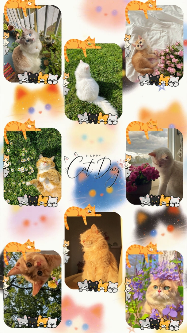 KATZENTAG