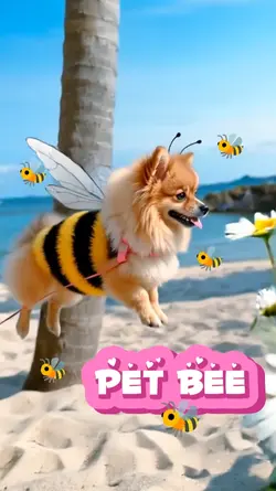 Pet bee