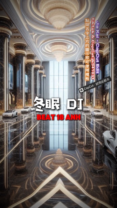 冬眠DJ