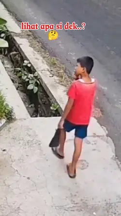 Lihat apa si dek? 