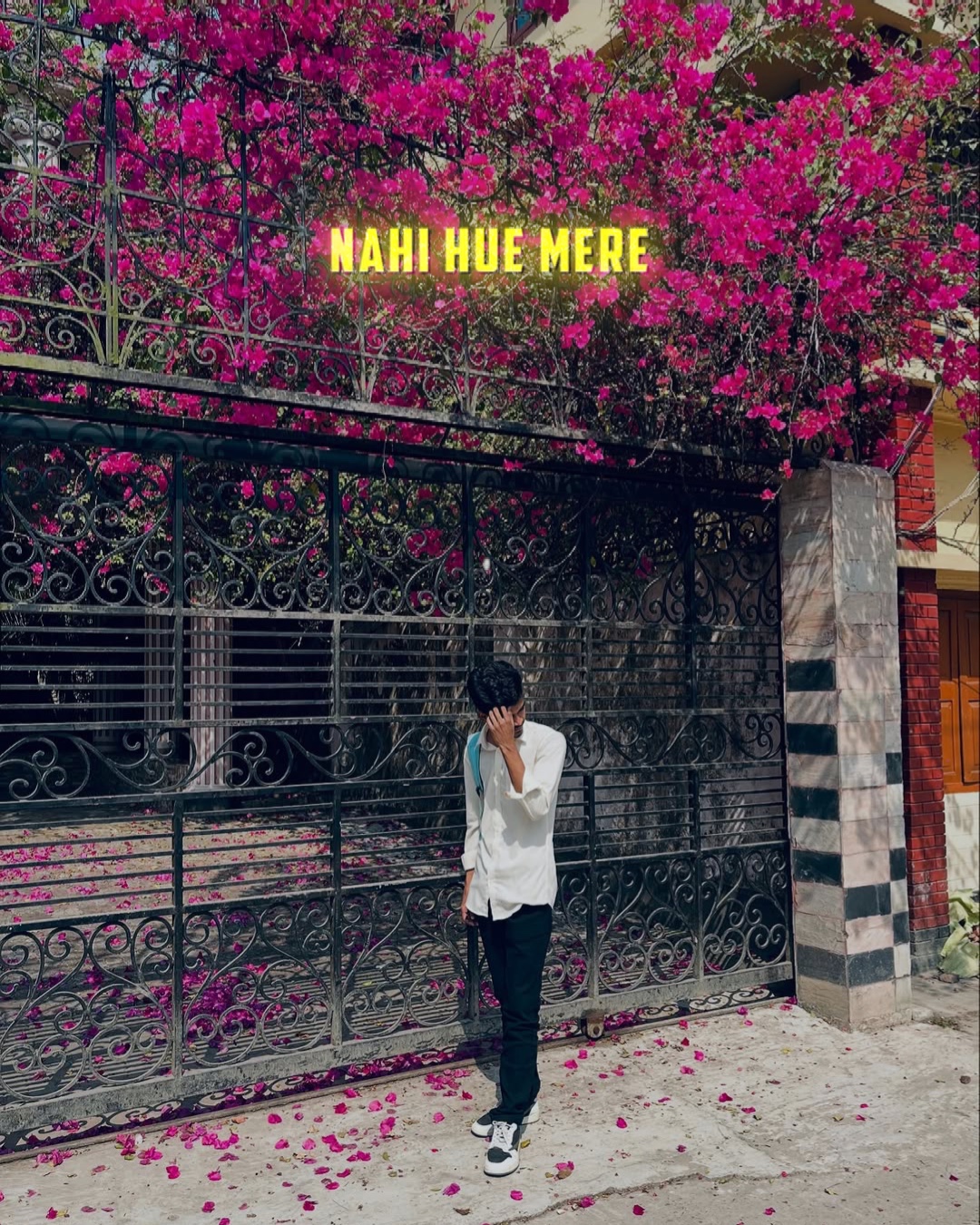 Cover Picture