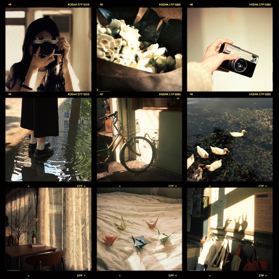 Frame aesthetic
