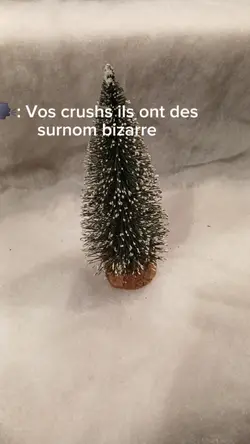surnom crush bizzare