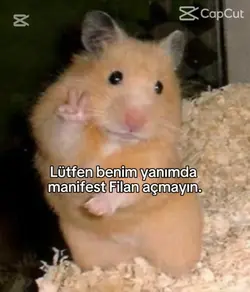 hamsterın alaka