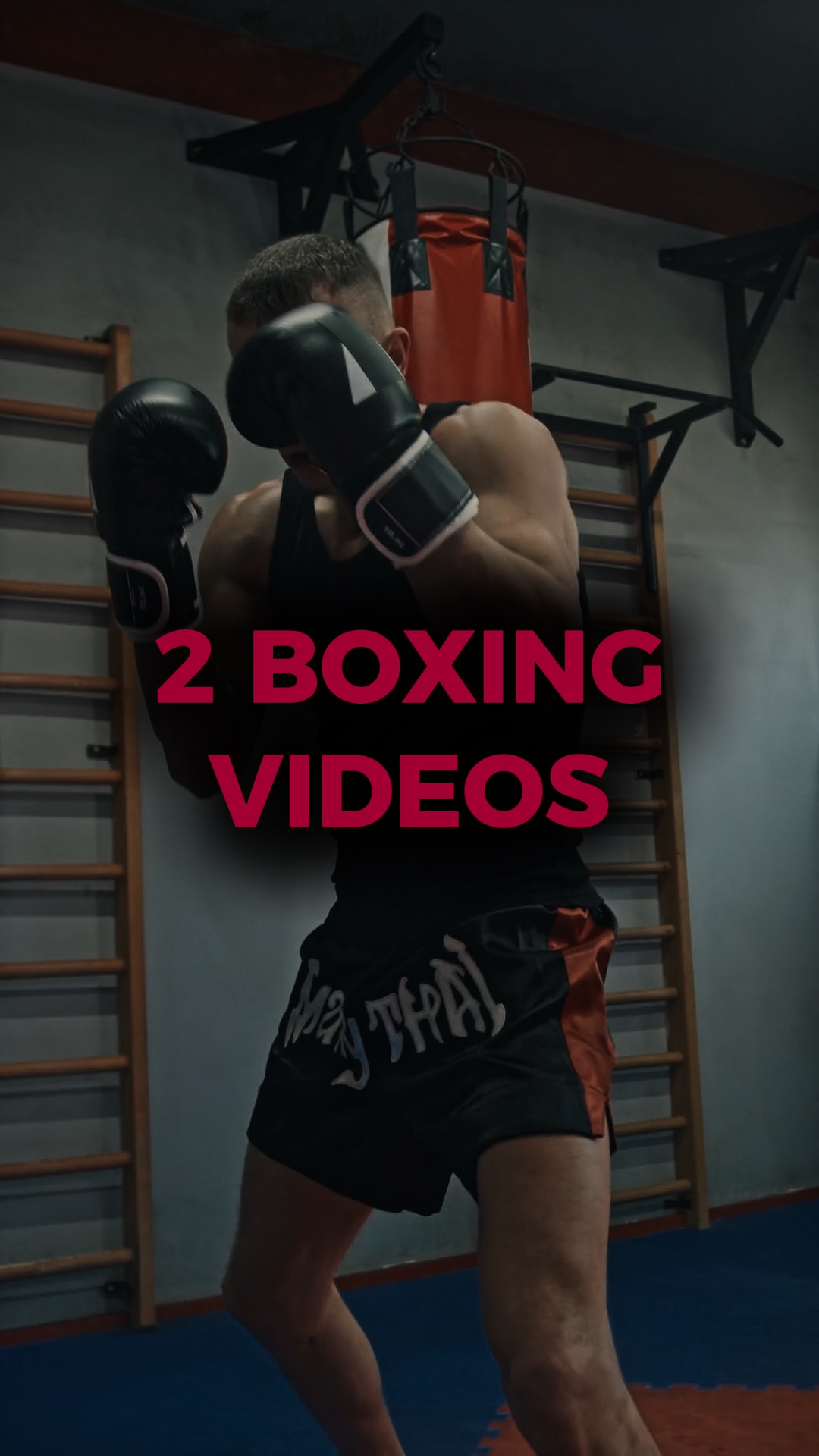 Tendências de boxe