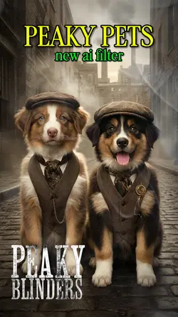 Peaky Blinders Pet