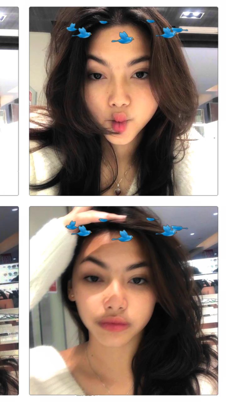 bird bisa digeser
