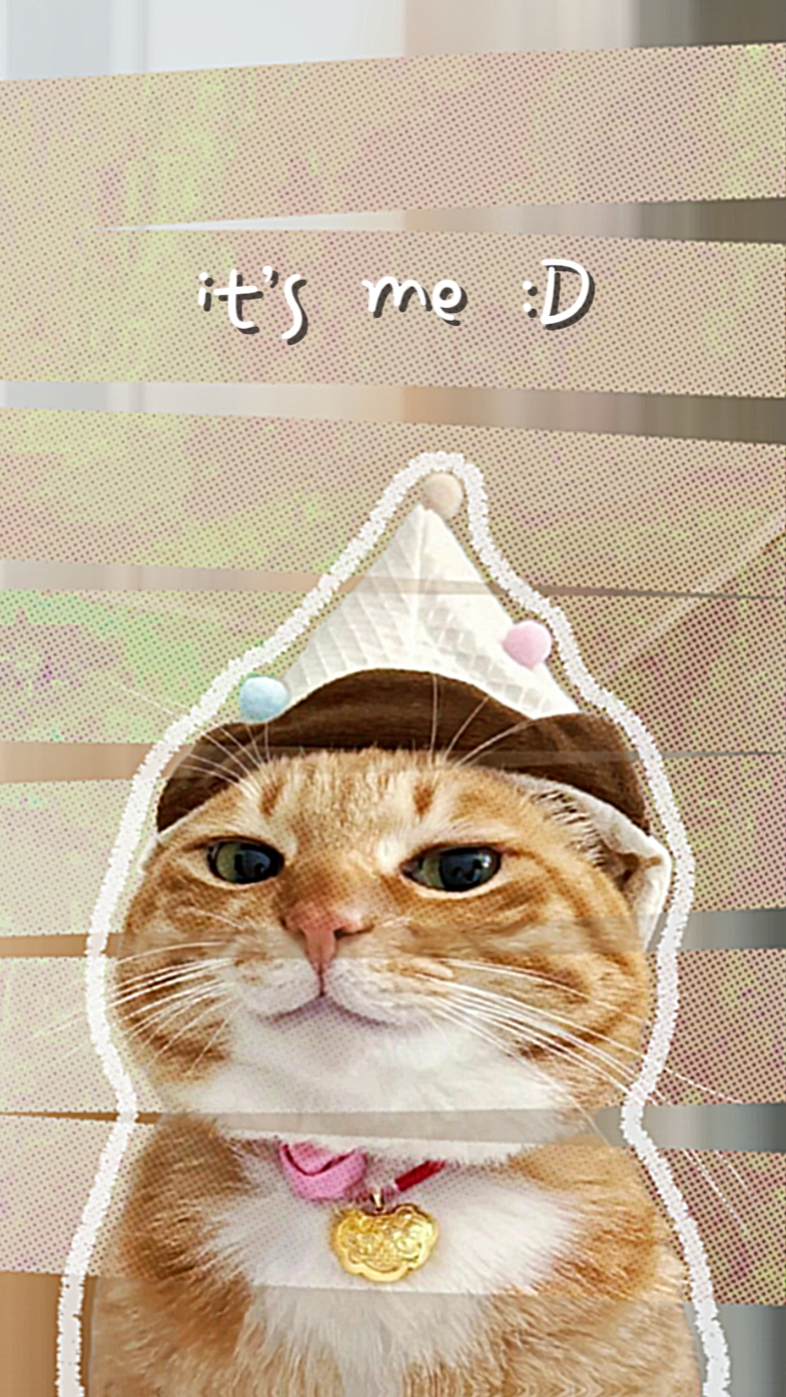 hello, it's me