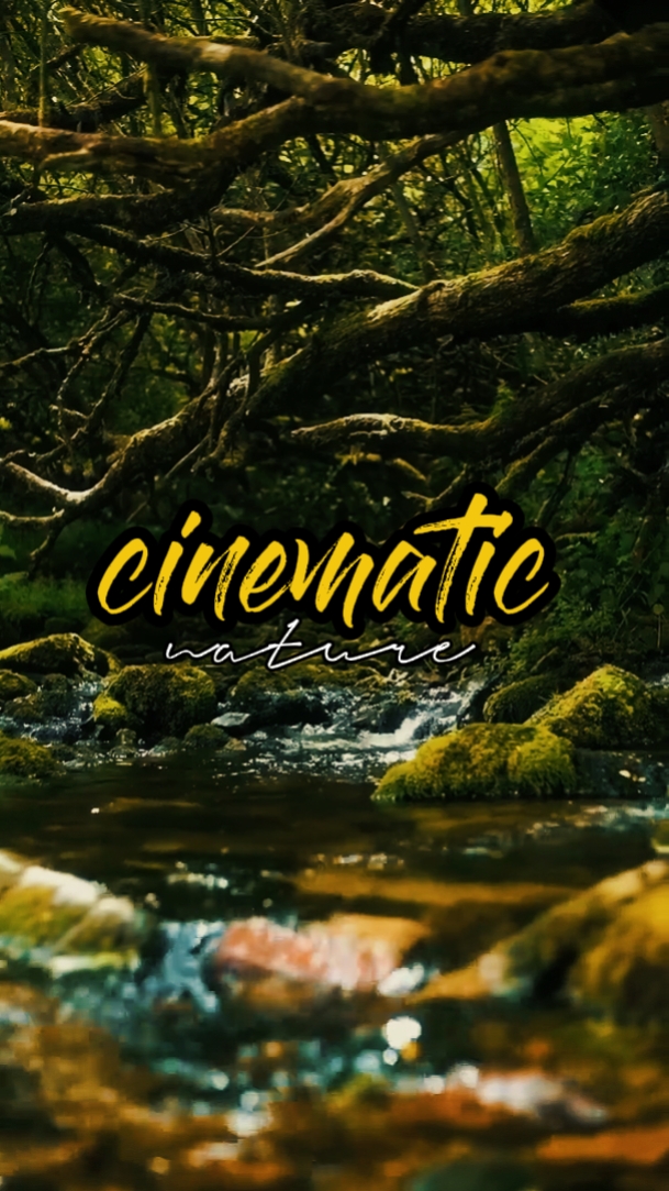 Naturaleza cinematográfica 