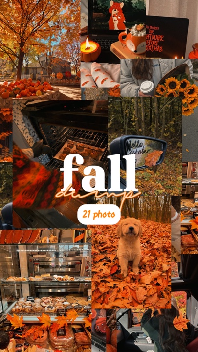Autumn Photo Vlog