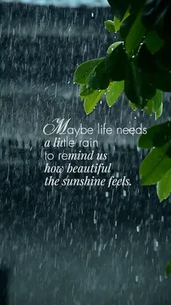  After the Rain