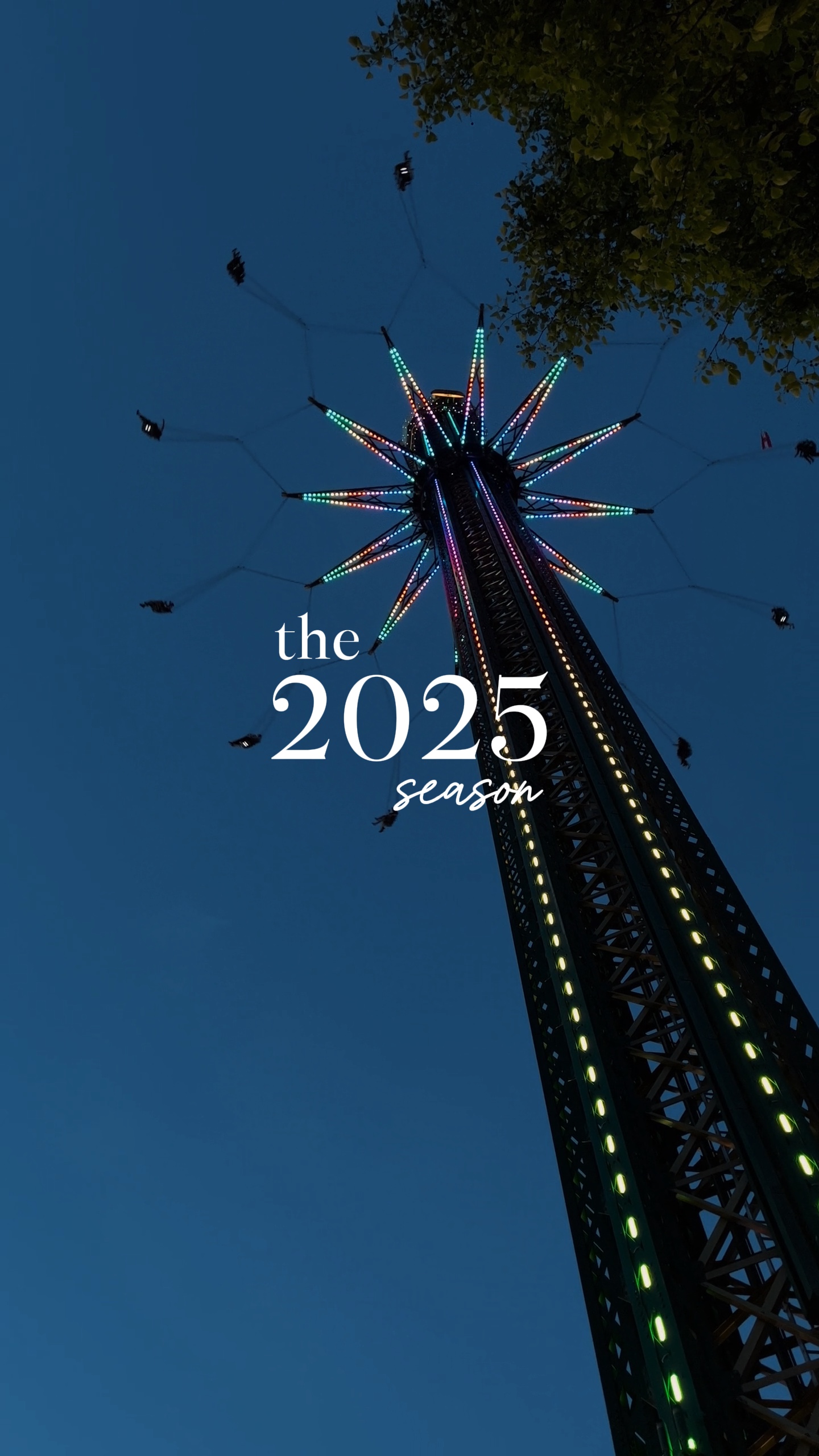 2025 Zusammenfassung 