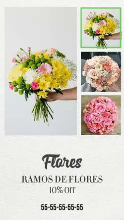 Flores