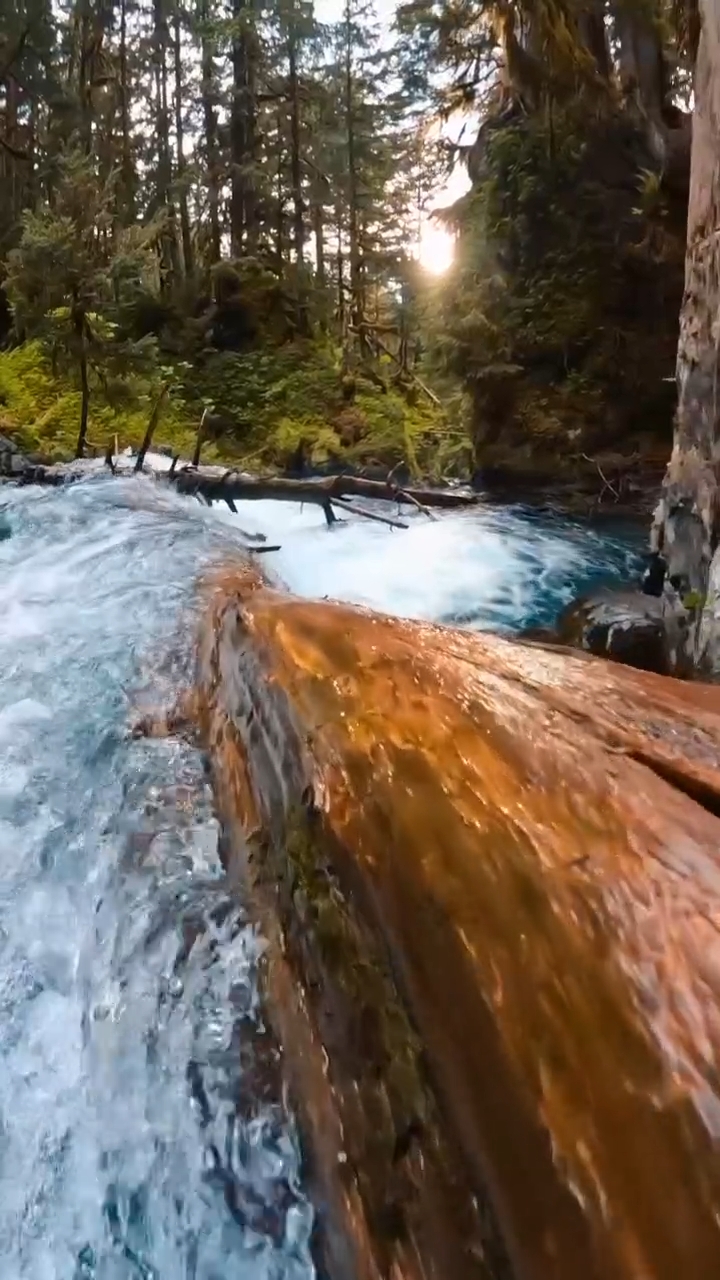 adventure