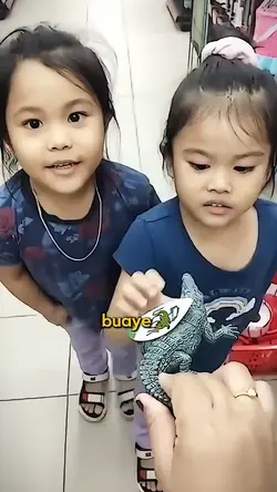 Ini Buaya 