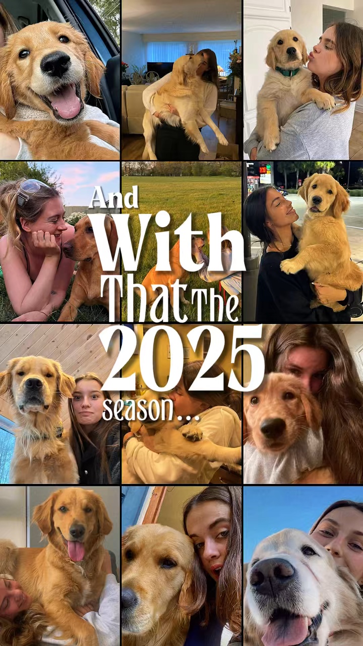 Zusammenfassung 2025 Hund
