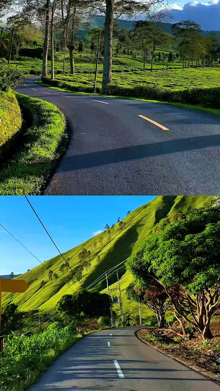2 videos kolase 
