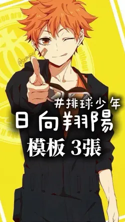 模板 3 photos |日向翔陽