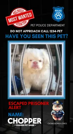 Wanted Pets 