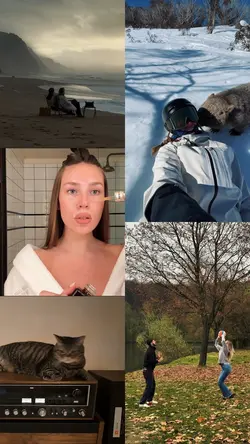 5 grid videos