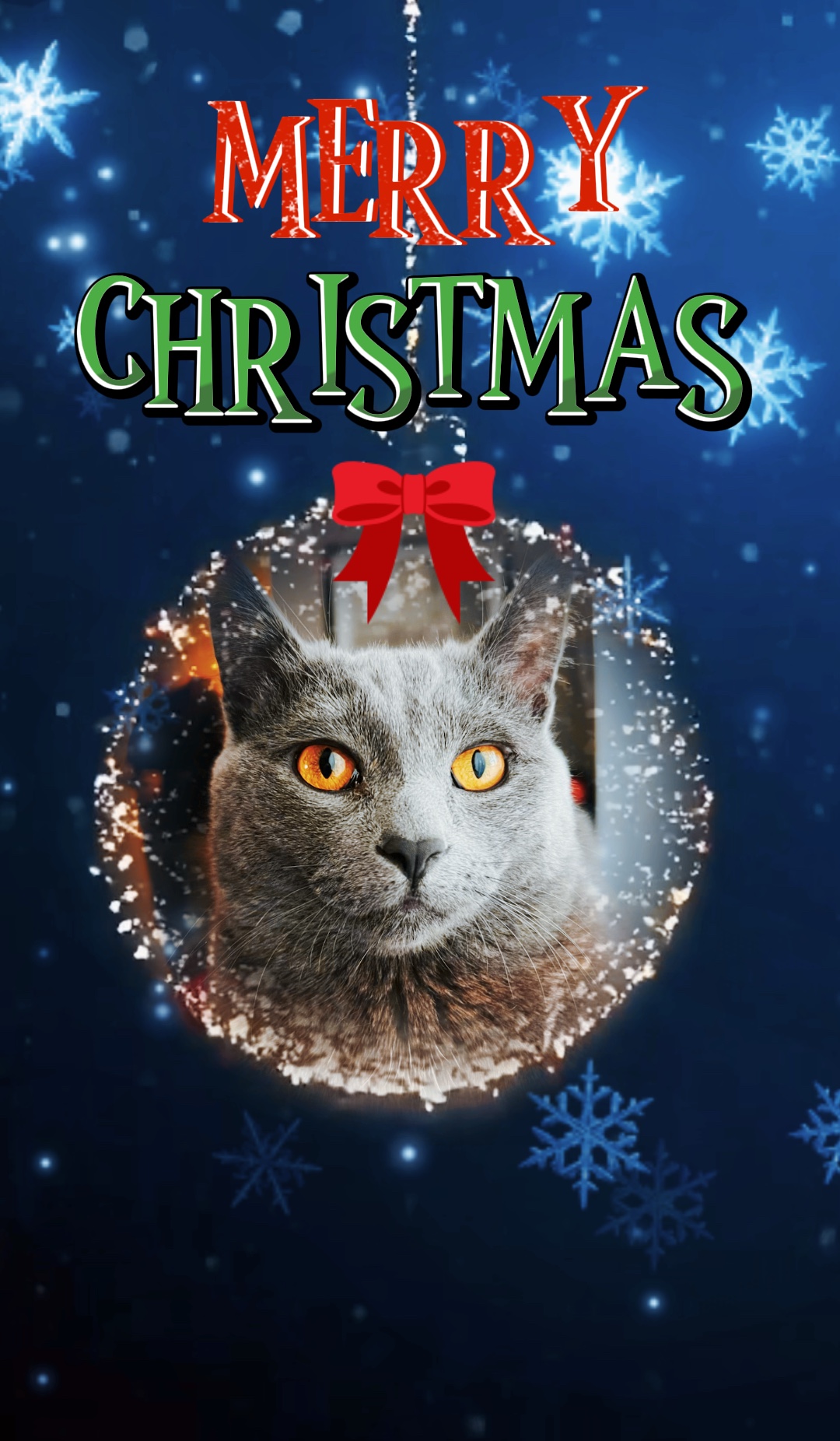 Kucing Natal 