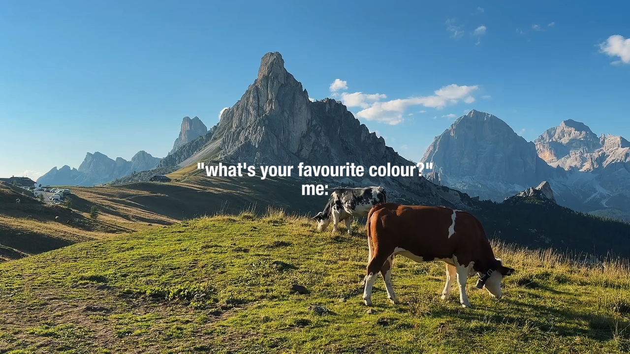 what's your favourit