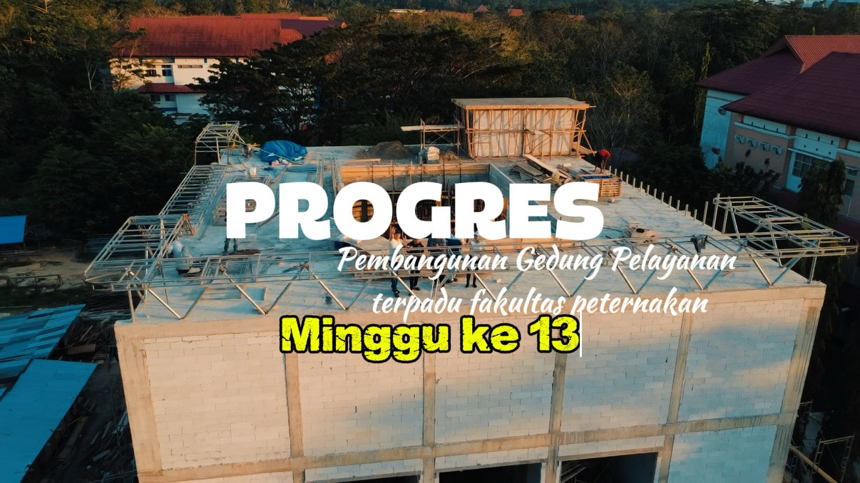 Progreso 