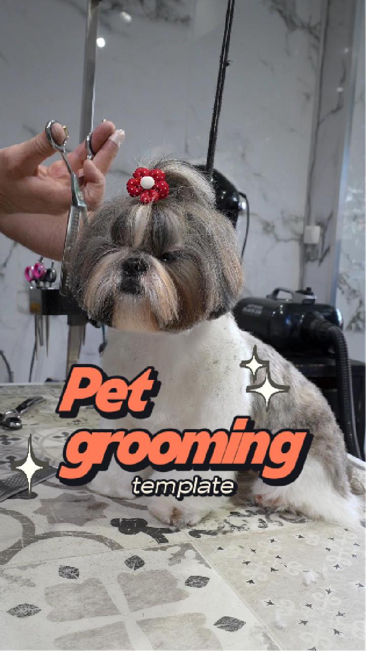 Grooming 