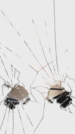 Trend JJ Intro Tinju