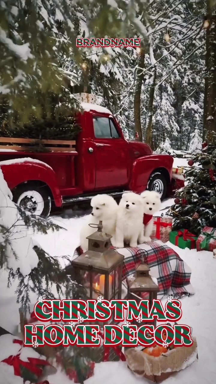 Decoração de Natal