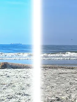 Have the best photo😎