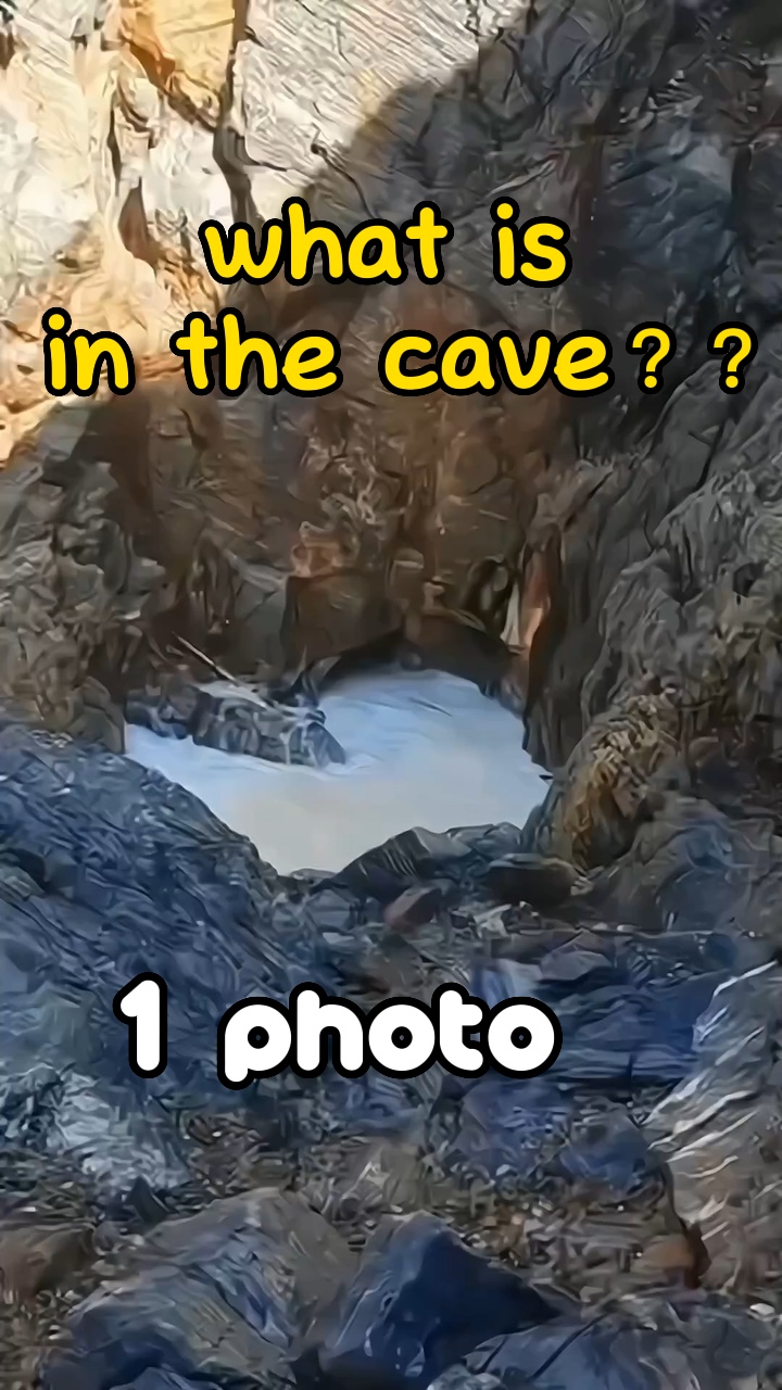 Meme da caverna