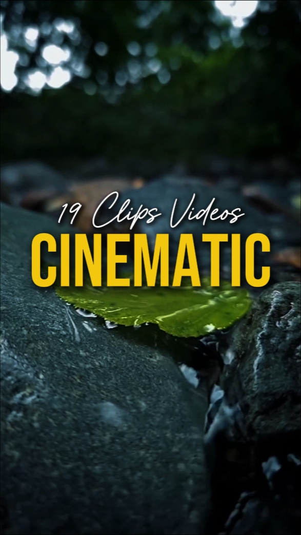 19 Videos Cinematic