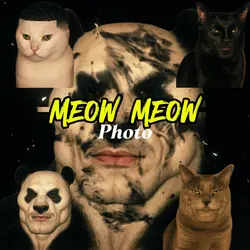 MEOW MEOW PHOTO