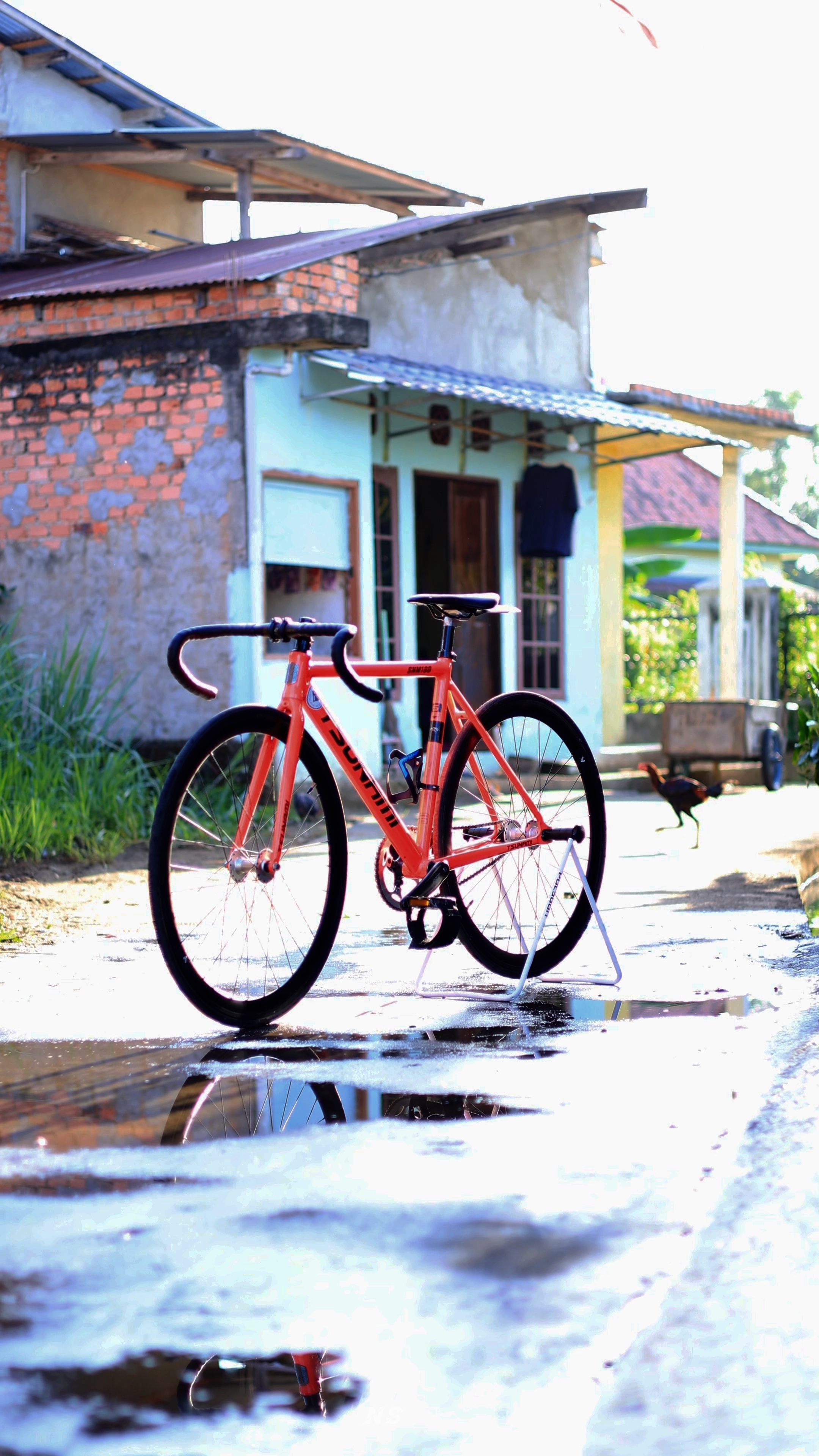 Cover Picture