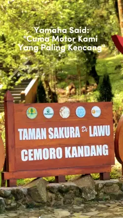 Trend Meme Tengkorak