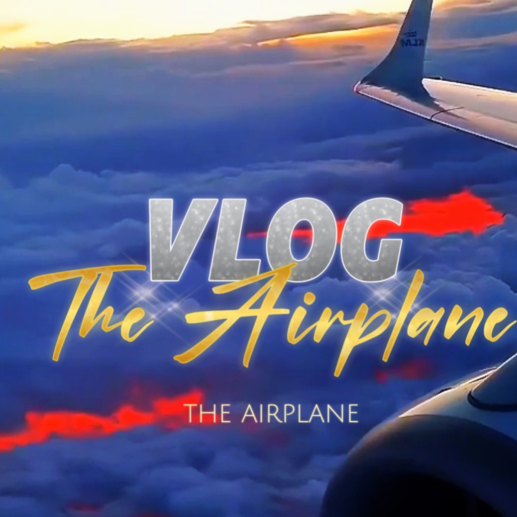 Das Flugzeug