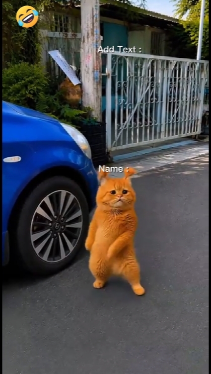Kucing Nakal 