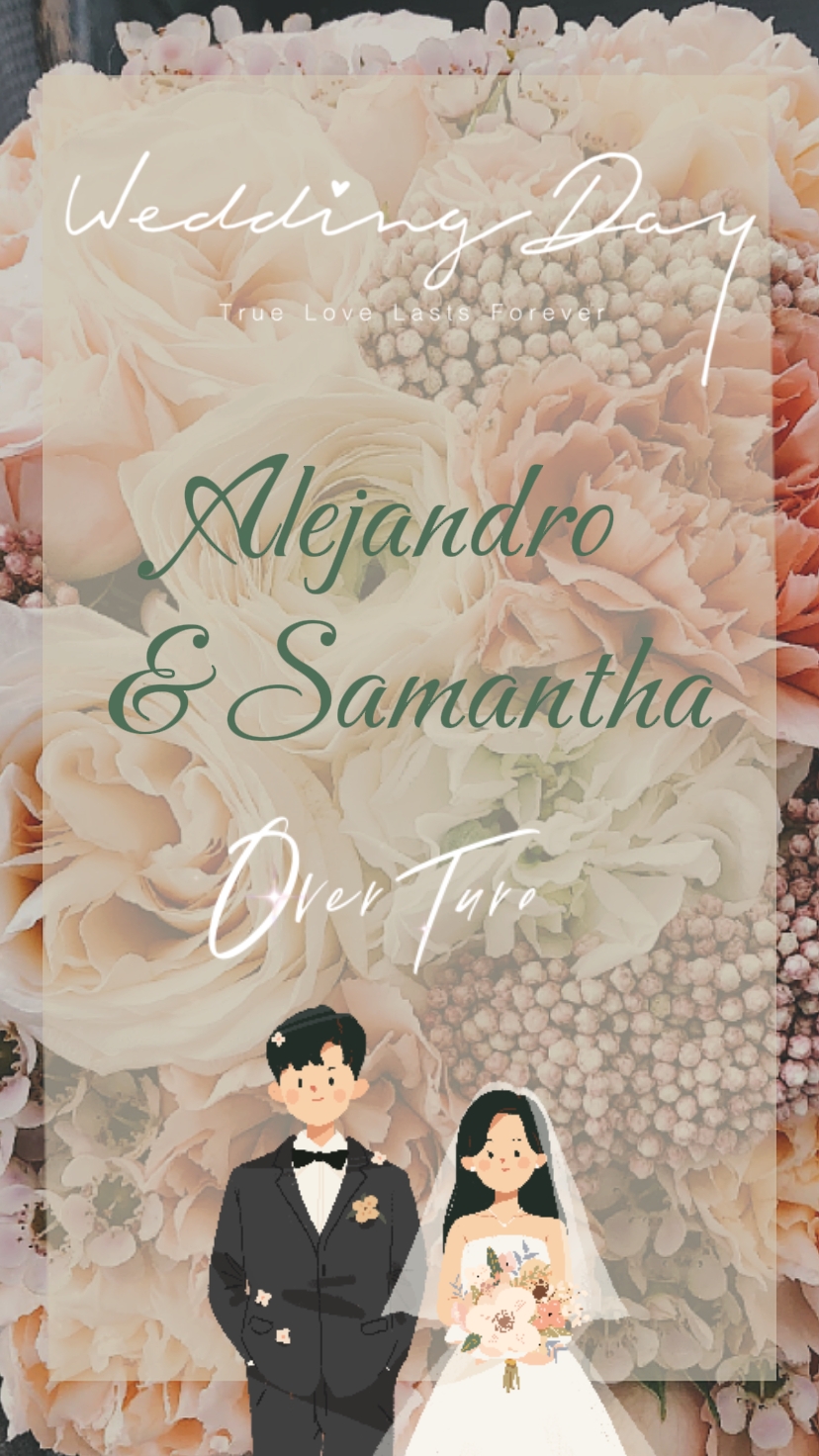 Our Wedding 
