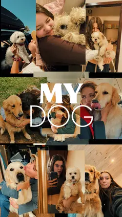 MY DOG
