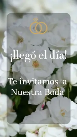 boda civil